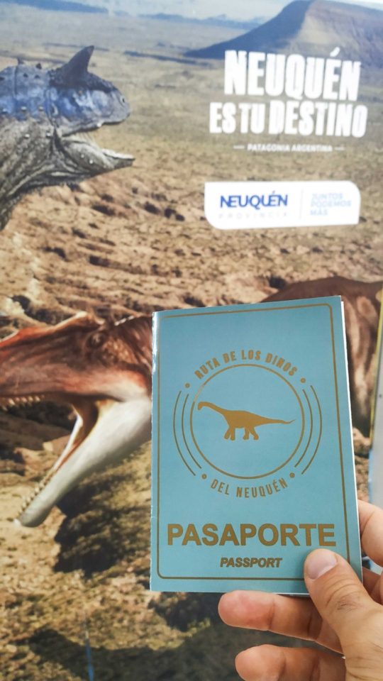 foto del pasaporte con dibujo de dinosaurios de fondo