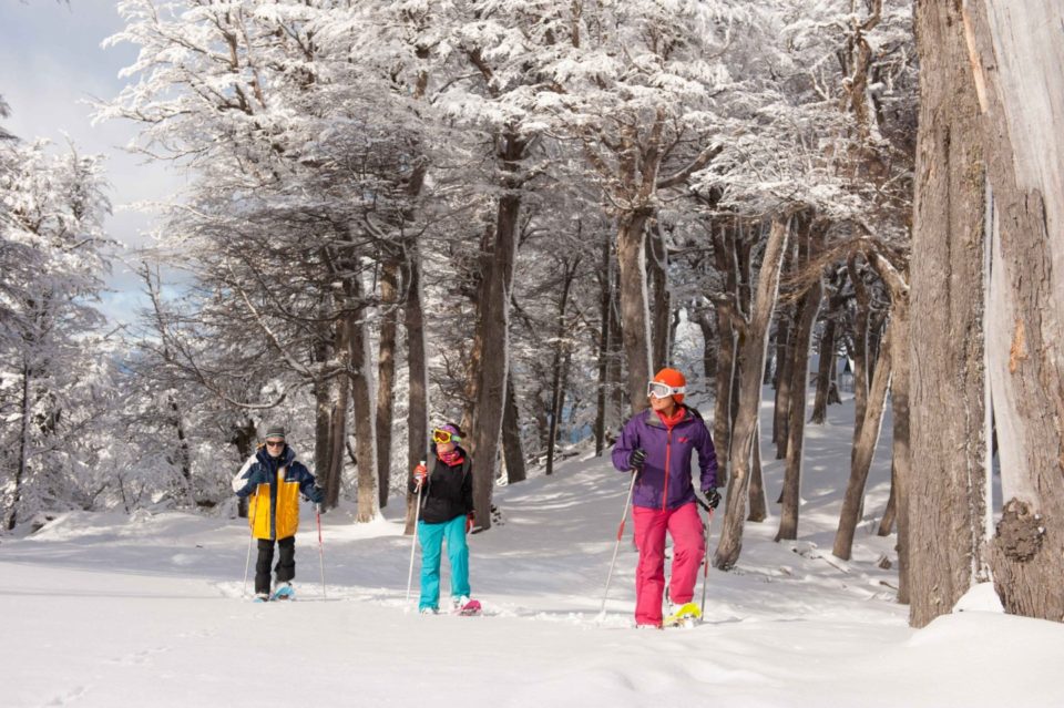 tres personas caminando con raquetas en un bosque con nieve